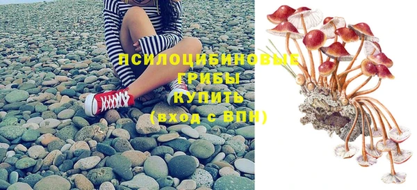 сатива Володарск