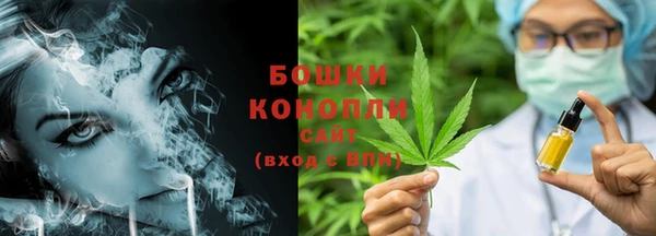 молекула духа Волоколамск
