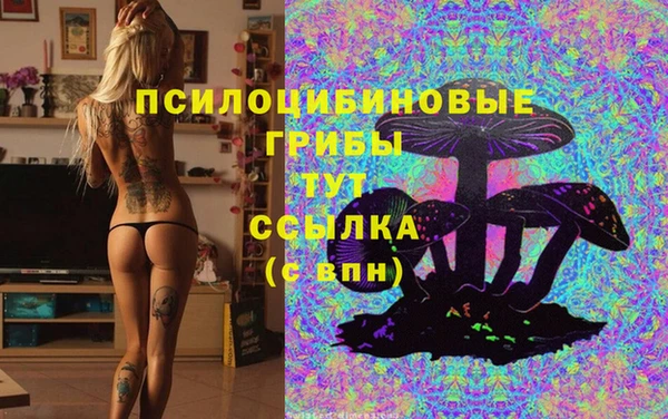 молекула духа Волоколамск