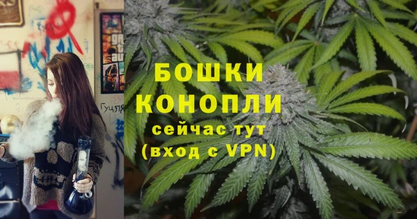 сатива Володарск