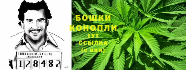 сатива Володарск