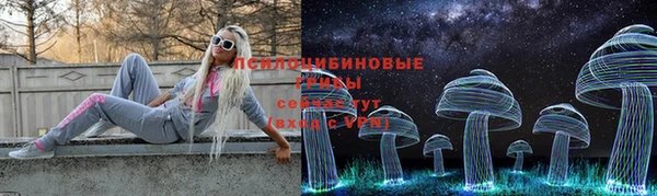 молекула духа Волоколамск