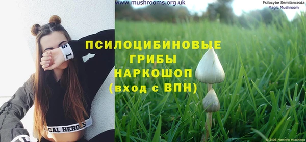 гидропоника Волосово