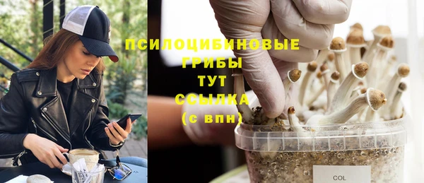 сатива Володарск