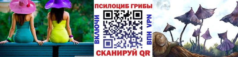 Галлюциногенные грибы прущие грибы  Волосово 
